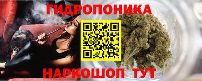 дживик Кунгур