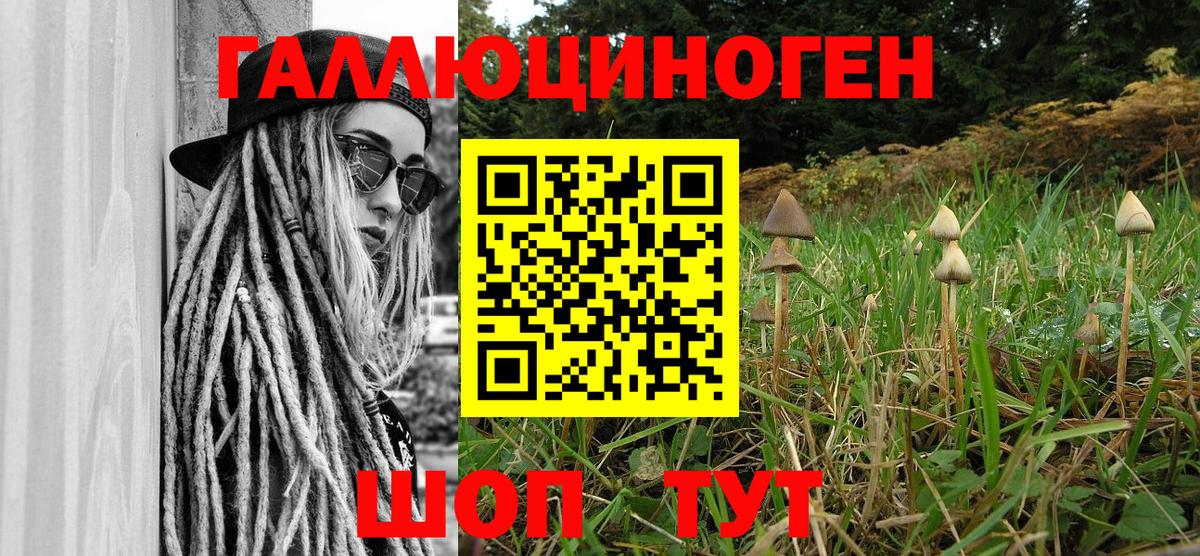 Златоуст  Псилоцибиновые грибы Psilocybe  Вход с VPN 